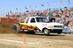 IMG_4470-500x332.jpg