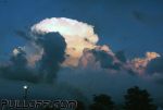 IMG_4067.JPG