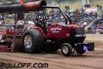 IMG_3768.JPG