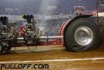 _MG_3853.JPG