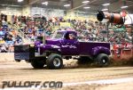 IMG_5569.JPG