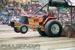 DSC_8181.jpg
